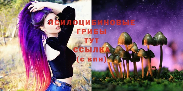 шишки Белоозёрский
