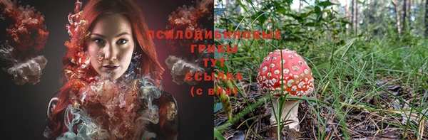 прущий лед Рославль
