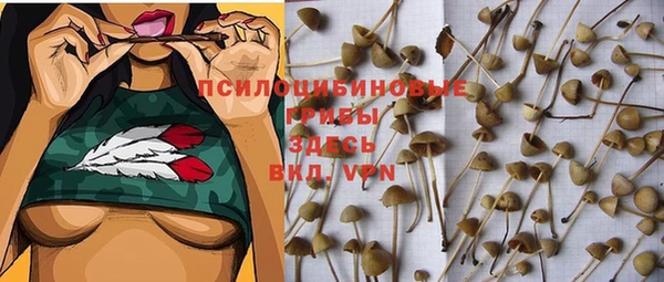 прущий лед Рославль