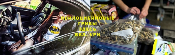 jwh Саяногорск