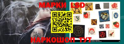 шишки Кинель