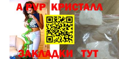 шишки Кинель