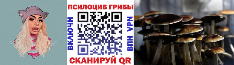 Галлюциногенные грибы Psilocybe Нижневартовск