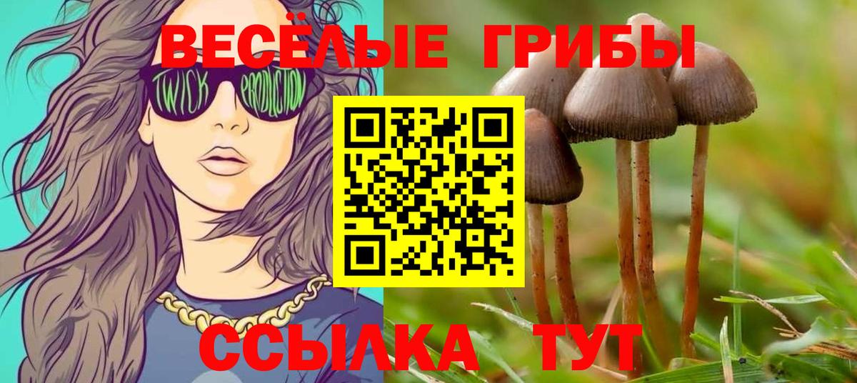 Нижневартовск  Псилоцибиновые грибы мицелий  Вход с VPN 