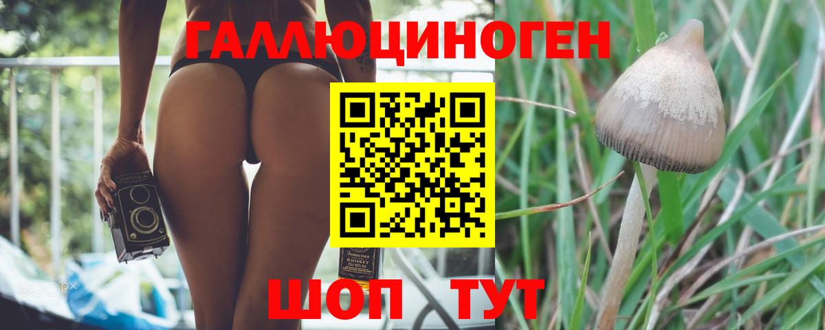 Галлюциногенные грибы Magic Shrooms Нижневартовск